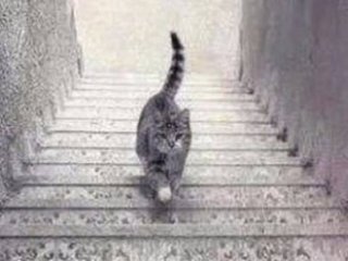 Bu Fotoğraf Sosyal Medyayı Salladı