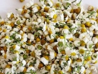 Mevsimsel Alerjiye Karşı Bire Bir!