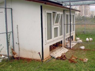 İki Ayda 3 Milyar Üretildi