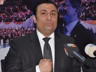 "Başbakan'a Roman Danışman"