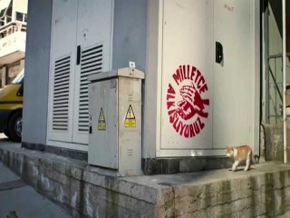 CHP’li Belediye Kedilere Kıydı