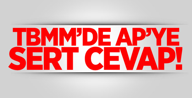 TBMM'den Avrupa Parlamentosu'na Cevap