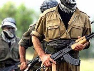 Şanlıurfa'da Biri Kadın 2 Terörist Yakalandı