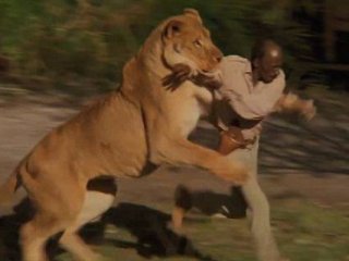 Sinema Tarihinin En Tehlikeli Filmi