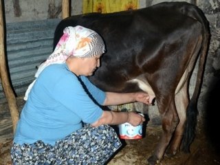 Bu Nasıl Yeni Türkiye