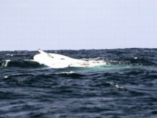 Akdeniz'de Bir Facia Daha!