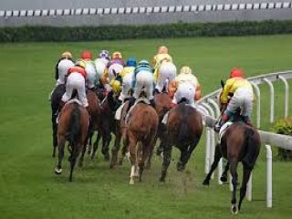 TJK'da Dopingli At Soygunu Yetmedi Şimdi De..