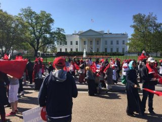 Beyaz Saray önünde Türk bayrakları