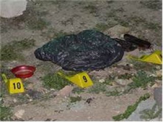 Odun Ararken Bebek Cesedi Buldular