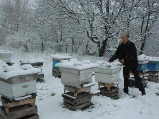 İnsanlar Şaştı Kaldı!