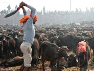 Leman Sam Olayı Hakkında Şok Gerçekler!