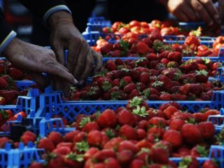 Rus İadesinde İç Rahatlatan Açıklama