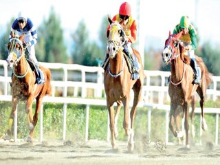 Umudu Ata Bağladık