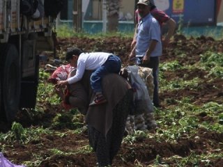 Vatandaş Ekmek Derdinde