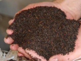 Tehlike Çok Büyük!