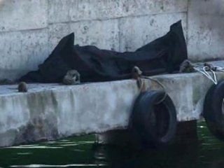 Sarıyer'de Ceset Şoku!