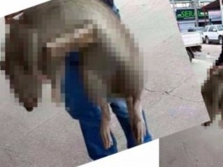 "Bizi Kurtarın" Deyip Bu Fotoğrafı Paylaştı