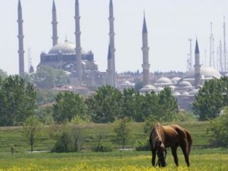Valilik'ten At Bakıcısına 5 Bin Lira