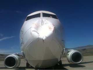 Kuş Sürüsü Çarptığı Uçağı Yamulttu