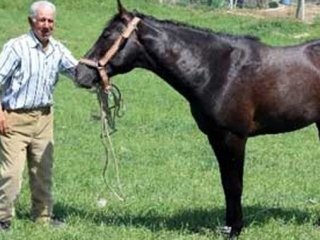 Edirneli Kovboy 5 Bin TL Maaşla İşbaşı Yaptı