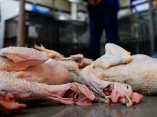 Türkiye'ye İlk Darbe ''Kardeş''ten Geldi