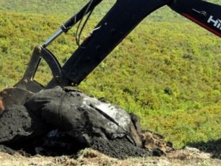 Kazdıkça Çıkıyor! Bakanlık El Koydu