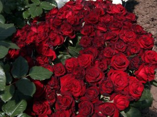 Çiçekçilik Sektörüne "Anneler Günü" Dopingi