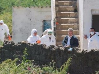 Bir Yumurta Tesisinde Daha Kuş Gribi Şoku!