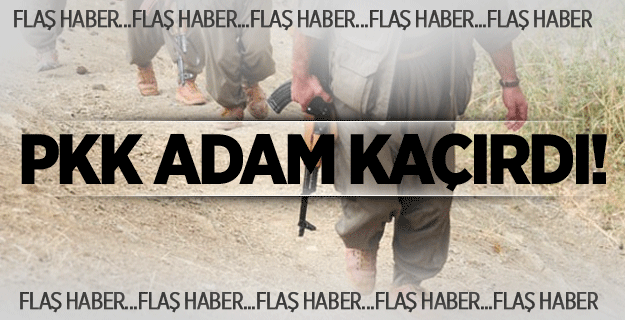 PKK'lı teröristler 2 kişiyi kaçırdı!