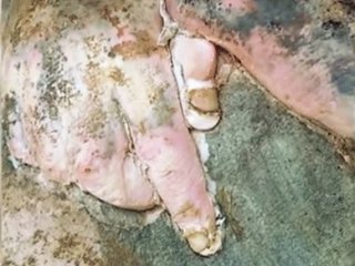 Nusra Komutanının Çürümeyen Bedeni Şaşırttı