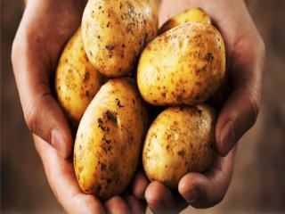 Bakanlık Bastırdı Fiyatı Düştü!