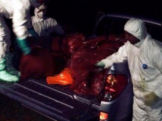 Türkiye'nin Başına Bela Oldu