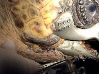 Türkiye Tarihine Geçti!