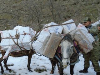 Kaçak Sigaranın Para Trafiği