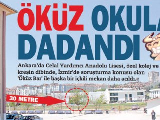 Öküz Bara Müfettiş