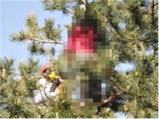 Bursa'da Kan Donduran Olay!