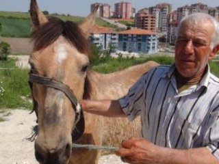 5 Bin Lira Maaşlı At Çobanı İşi Bıraktı