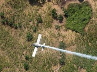 Uyuşturucu Taşıyan Uçak Düştü