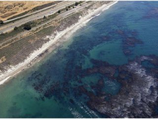 ABD’de Olağanüstü Hal İlan Edildi