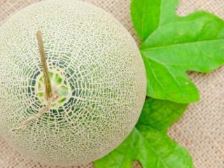 İki Kavun 34 Bin Liraya Satıldı