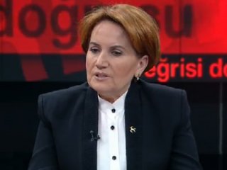 Meral Akşener:Görünce Dehşete Düştüm!