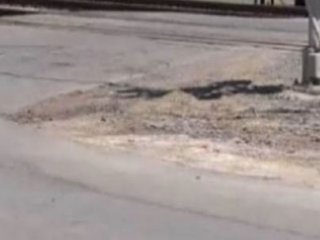 Yol Kenarında 9 Beyin Bulundu!