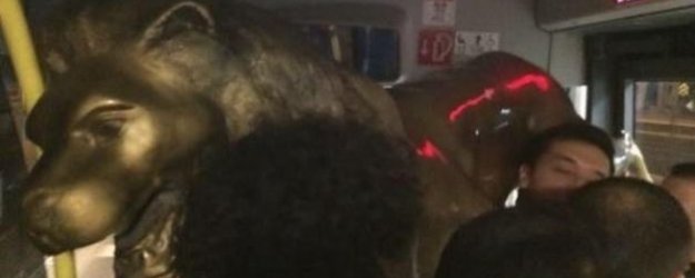 Florya'dan Aslanı Söküp Metrobüsle Götürdüler!