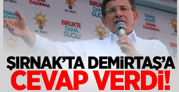 Davutoğlu'ndan Demirtaş'a Cevap