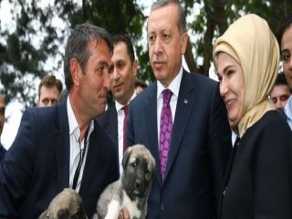 Erdoğan'la Vatandaşların Neşeli Sohbeti