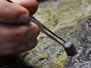 İnşaat Kazısından Çıktı! Tam 60 Milyon Yıllık