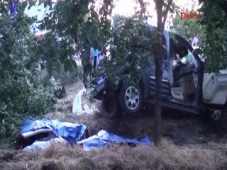 Köpek Yüzünden 5 Kişi Can Verdi