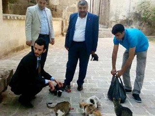 MHP Adayları Kedi Topladı