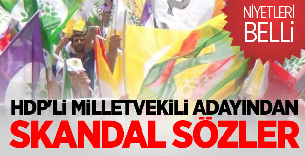 HDP'li milletvekili adayından skandal sözler