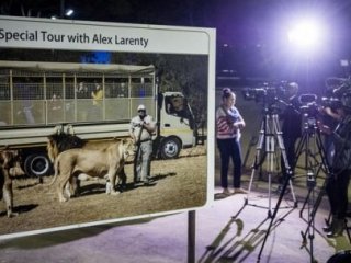 Aslanın Saldırdığı ABD Vatandaşı Kadın Öldü